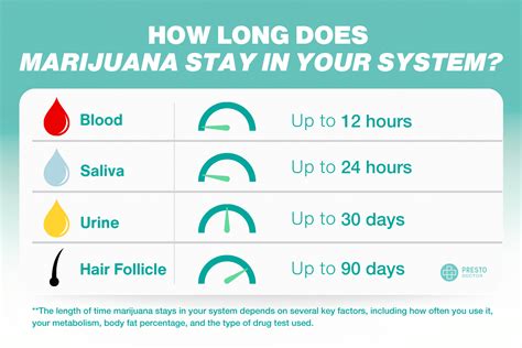 How Long Does Marijuana Stay In Your System