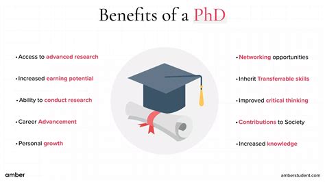 5 Year PhD Guide
