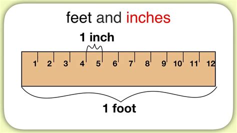 How Many Inches In Five Feet How Many Inches In Five Feet