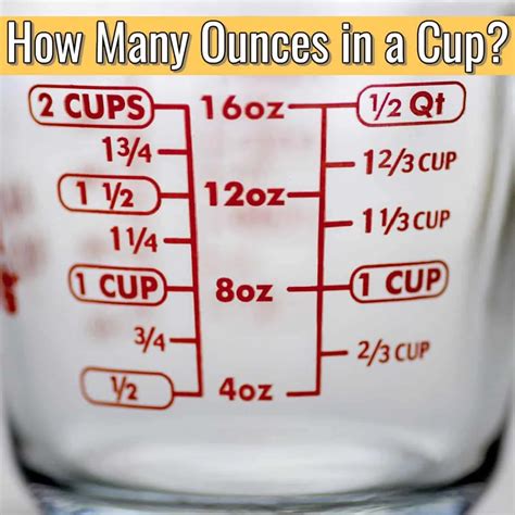 8 Cups to Ounces Converter
