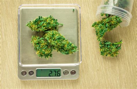 5 Grams Equals How Much