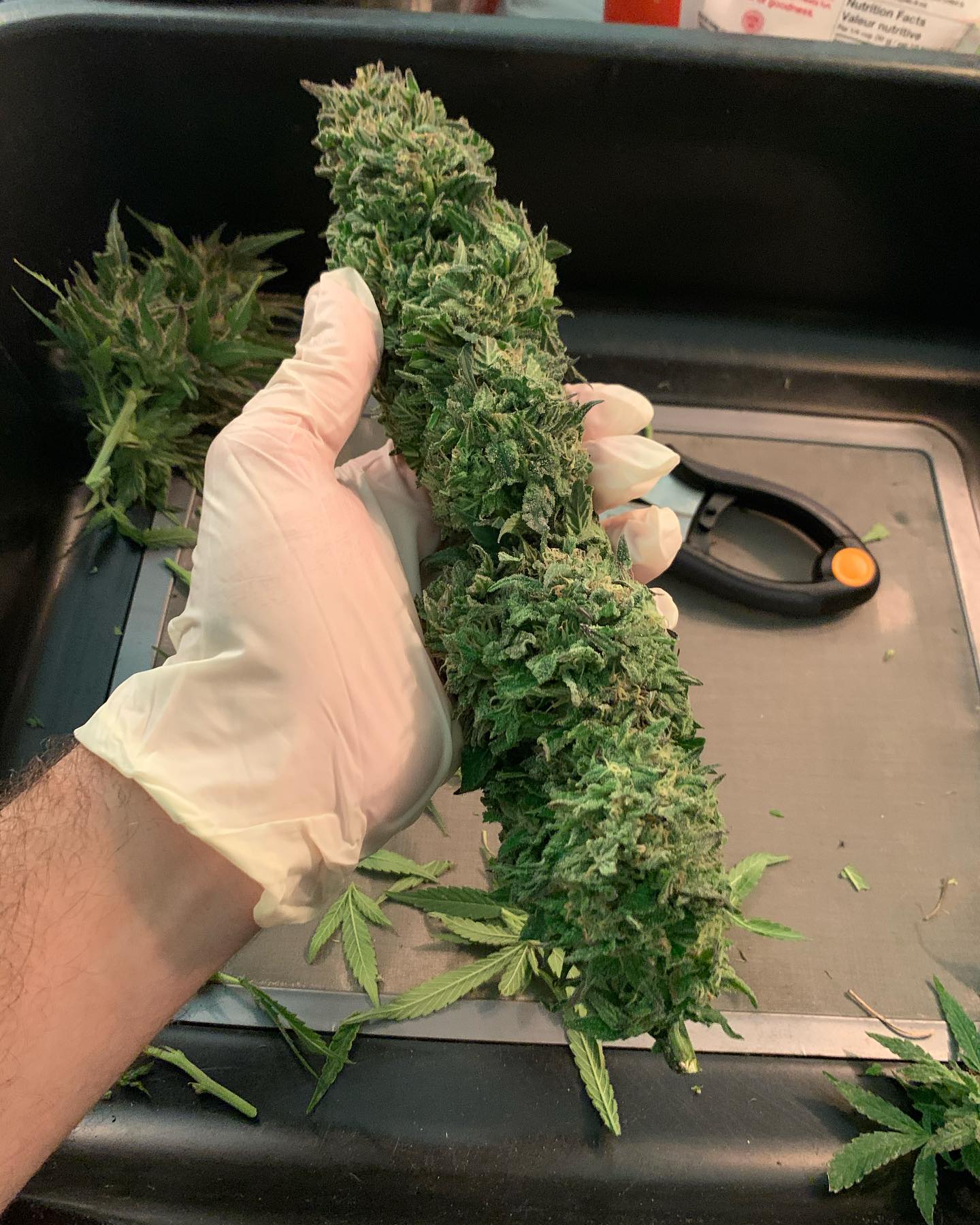 4 Ounces in Quarter Pound