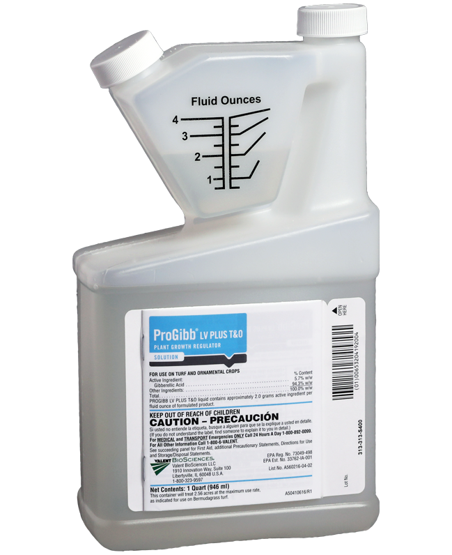 How Mycorrhizae Biostimulants Boost Plant Growth Mycorrhizae For