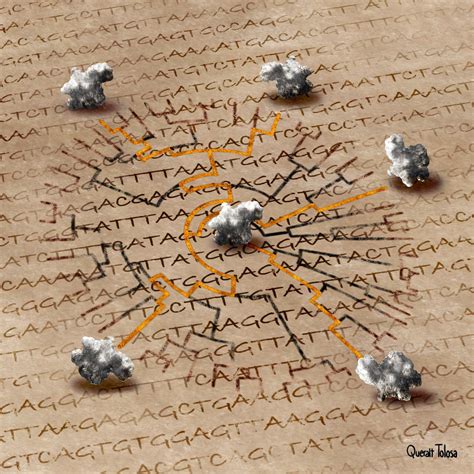 How Protein Shapes Are Rewriting The Story Of Life On Earth