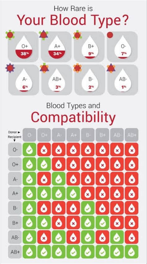 How Rare Is Your Blood Type R Coolguides
