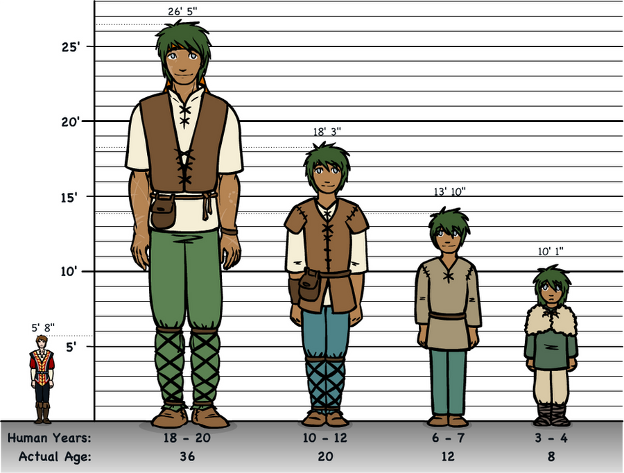 40 Inches in Height
