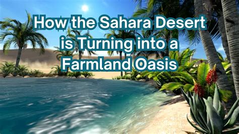 How The Sahara Desert Is Turning Into A Farmland Oasis Youtube