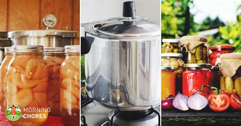 How To A Pressure Canner Correctly To Preserve Almost Any Food