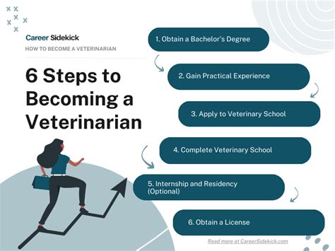 5 Steps To Become Vet