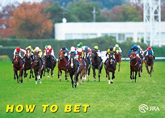 How To Bet Jra Enjoy Racing Horse Racing In Japan How To Bet Jra Enjoy Racing Horse Racing In Japan