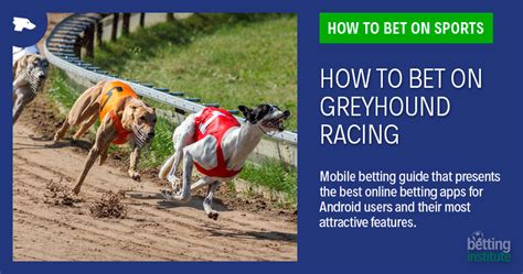How To Bet On Greyhound Racing Dog Betting Tips Guide