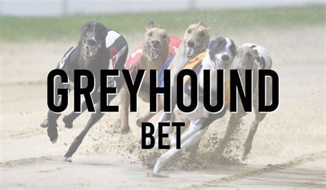How To Bet On Greyhounds Greyhound Betting Guide Bresbet Hub