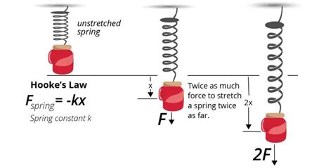 How To Calculate A Spring Constant Using Hooke S Law Dummies