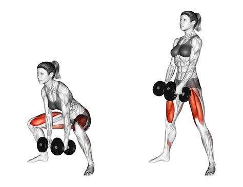 How To Do Dumbbell Sumo Deadlift Muscles Worked Benefits How To Do Dumbbell Sumo Deadlift Muscles Worked Benefits