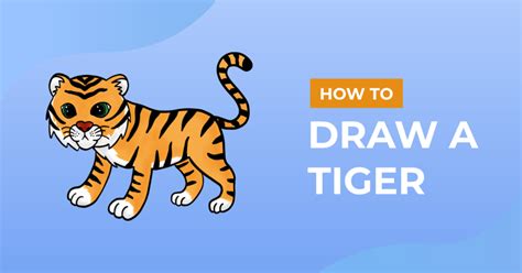 How To Draw A Tiger In 4 Easy Steps Design Bundles