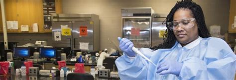 How To Find The Right Medical Laboratory Technician School How To Find The Right Medical Laboratory Technician School