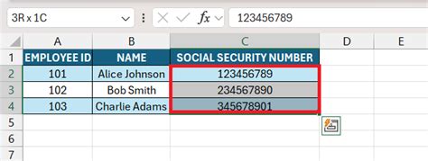 How To Get Social Security Number Format In Excel Myexcelonline