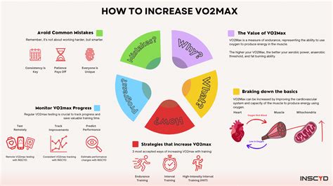 How To Increase Vo2max Techniques To Improve Performance How To Increase Vo2max Techniques To Improve Performance