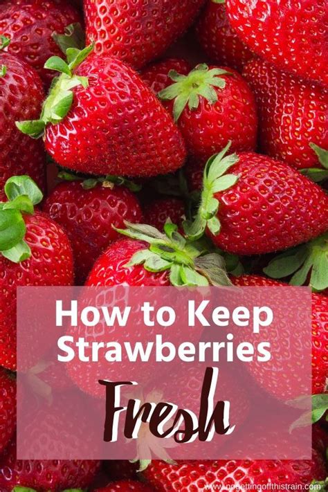 How To Keep Strawberries See Full List On Wikihow Com Download Free