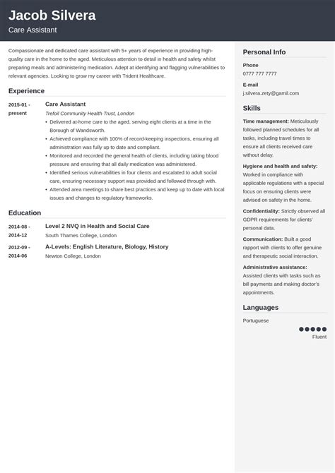 How To Make Cv For Care Assistant Design Talk