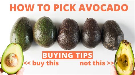 How To Pick Avocado Tips For Buying Perfect Avocados At The Store Youtube