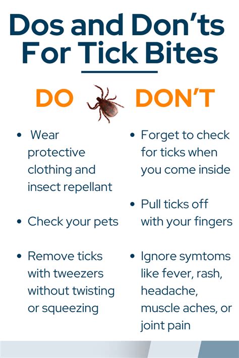 How To Prevent And Take Care Of Tick Bites How To Prevent And Take Care Of Tick Bites
