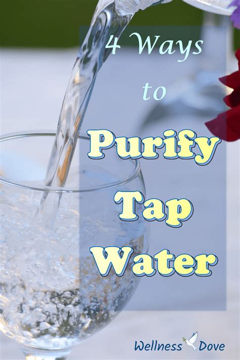 How To Purify At Elizabeth Lewis Blog