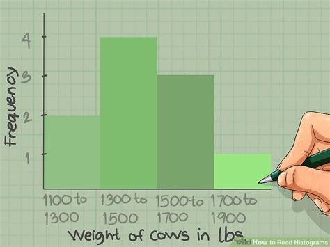 How To Read Histograms 9 Steps With Pictures Wikihow