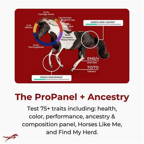 How To Read Your Horse S Test Results Ancestry Composition And More How To Read Your Horse S Test Results Ancestry Composition And More