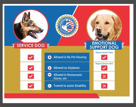 How To Register My Dog As An Emotional Service Animal At James Bernard Blog