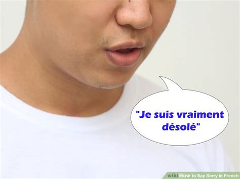 How To Say Sorry In French 12 Steps With Pictures Wikihow