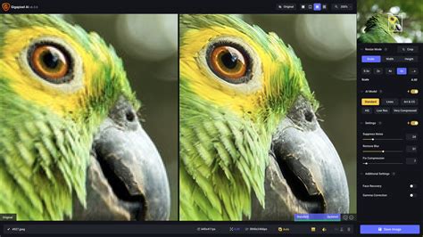 How To Use Topaz Video Ai To Upscale Video Resolution