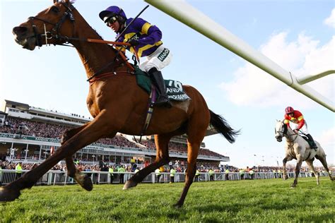 How To Watch Grand National 2024 Tv Channel And Live Stream Radio Times