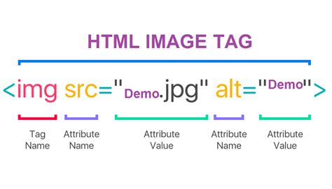 Html Img Tag Tutorial Easy Guide For Beginners