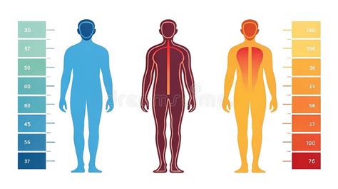 Human Body Temperature Comparison Chart Stock Illustration Illustration Of Background Body 377153367 Human Body Temperature Comparison Chart Stock Illustration Illustration Of Background Body 377153367
