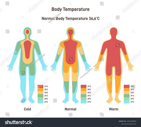 Human Body Temperature Know It All