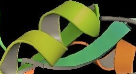 Human Centromere Protein B Antibody Research Corporation