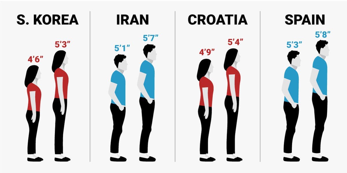 Human Height Changes Over The Last 100 Years In Different Countries Human Height Changes Over The Last 100 Years In Different Countries