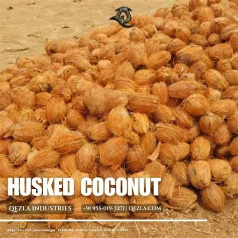 Husked Coconut Wholesale Near Me At 12 Piece Husked Coconut In