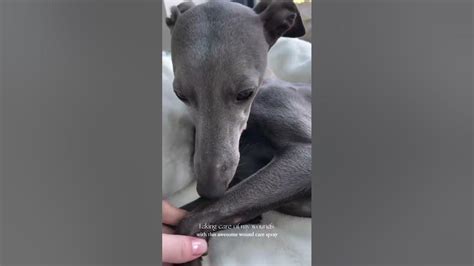 I Get Wet Alone While Exploring Every Corner I Get Wet Alone While Exploring Every Corner