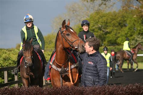 Ian Williams National Racehorse Week