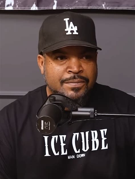 5 Ice Cube Facts