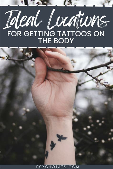 Finding the Best Ideal Image Locations for Stunning Photography Seasons