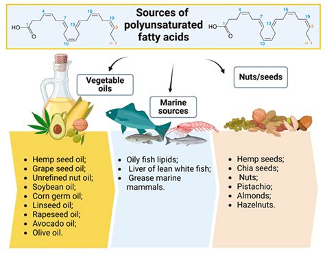 Ijms Free Full Text Dietary Polyunsaturated Fatty Acids And