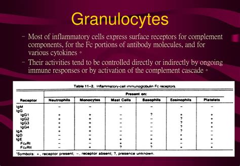 Immature Granulocytes Causes Absolute And Normal Range
