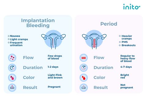 Implantation Bleeding Vs Period How To Figure Out