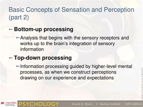 Important Concepts In Sensation Perception Ppt Download