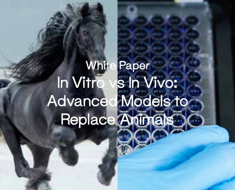 In Vitro Vs In Vivo Advanced Models To Replace Animals Mattek Life