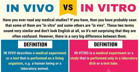 In Vivo vs In Vitro Differences