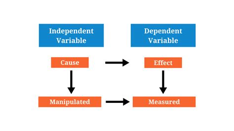 Independent Variable Brookbush Institute Glossary